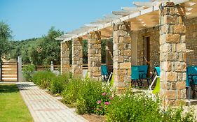 Olive Land Villas